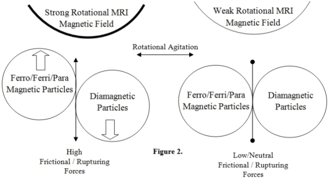 Diametric Particle Agitation Hypothesis