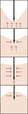 Needle Insertion/Resistance Forces