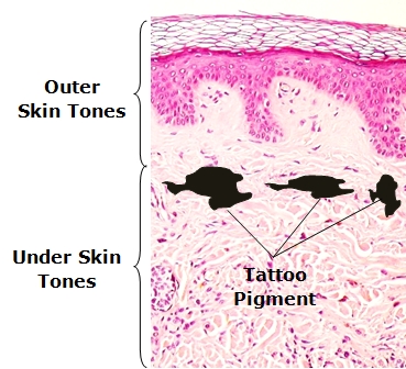 Skin Under & Outer Tones